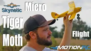 Skynetic Micro Tiger Moth 14