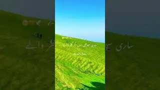 Peer Ajmal Raza Qadri emotional bayan I #hamd #hamdosana #islamic #status  #nature #shorts #peace