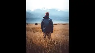 Personality types. 5 Differences Between INFP and INFJ Personality Types