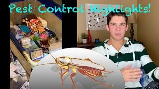 Hoarders left us COCKROACHES - Pest Control Vlog