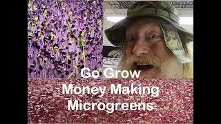 Make Money Growing Microgreens In Your Home!!!