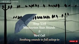 Black Screen Rain Sounds with Soothing Birdcalls for Relaxation, Sleep, and Focus