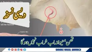 Mastitis in Cows After Delivery | Causes, Symptoms & Quick Treatment Guide