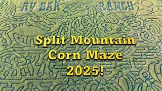 Split Mountain Corn Maze 2025b