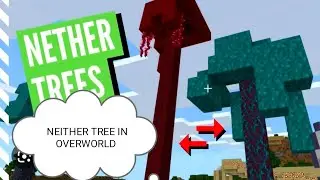 Creating a Nether Tree Forest 😍🔥 | Crimson & Warped Trees | Minecraft Survival