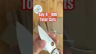 Day 4️⃣: Edge Retention Testing - Spyderco Tenacious with 8Cr13MoV #triedandtrueedc #testing