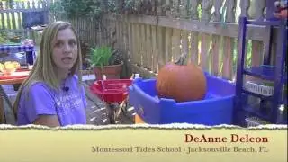 Toddler Practical Life Series: Outdoor Environment