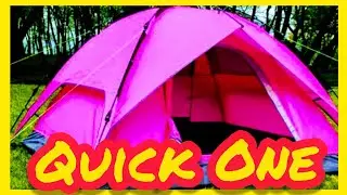How to be a winner - Queen Optimist | Video #074