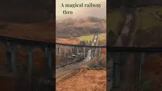 A Magical Railway Through Nature 🌿 #nature #relaxing #chill