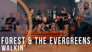 Forest & The Evergreens | Walkin' (Acoustic)