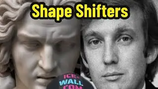 Shape Shifters