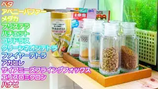 魚種別？熱帯魚のエサ紹介、給餌タイムは楽しい！ #アクアリウム 【ビバアクア】