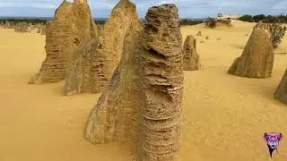 The Pinnacles Desert   Western Australia