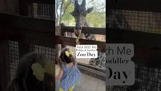 Packing for a Zoo Day with 2 Kids Under 3
