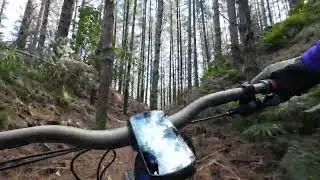 Shred the Needle, Woodhill