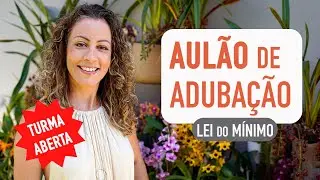 DESCUBRA como BLINDAR suas PLANTAS contra PRAGAS e DOEN&Ccedil;AS
