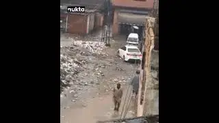 Punjab, Islamabad Flooded After Heavy Rain: Army Leads Rescue Ops | Nukta