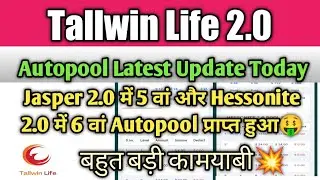 Tallwin Life 2.0 Autopool Latest Update Today | Tallwin Jasper 2.0 And Hessonite 6th Autopool Clear🤑