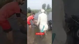 Beas River News Today