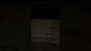 Mi🇵🇦