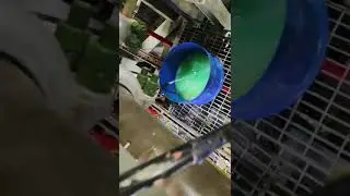 Leak Test