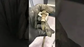 Replace your brake hose if is start to look like this