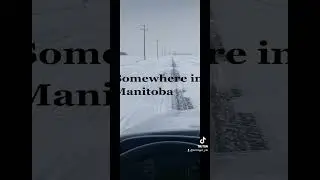 Winter in Manitoba #madeincanada #Manitoba #winterwonderland #winter # #drivingtips