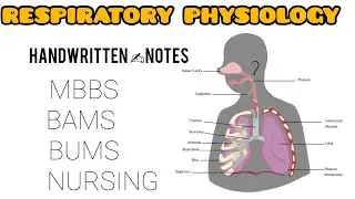 Respiratory physiology -Mbbs/bams-1st prof. Handwritten notes||#respiratoryphysiology#mbbsnotes#mbbs