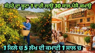 Orange Farming🍊Orange Harvesting 🍊Orange Price in India 🍊Farming Vlog✅