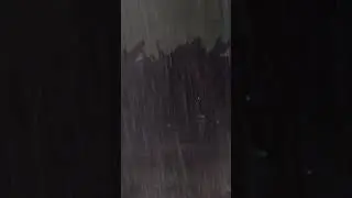 RAINSTORM DESTROYS YOUTUBER'S BACKYARD GARDEN! (EMOTIONAL)
