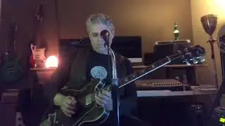 Blue Star Creeper // The End of Life As We Know It // Tim's Live