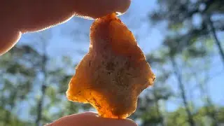 Arrowhead Hunting Central GA