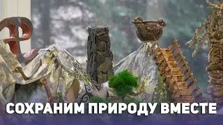 Сохраним природу вместе