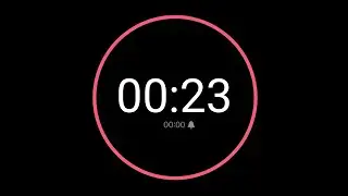 23 Second Countdown Timer / iPhone Timer Style