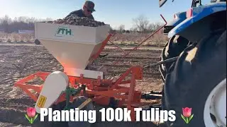How My Tulip Planter Works! 