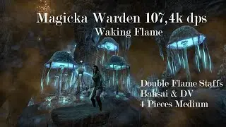 Magicka Warden 107,4k dps | Waking Flame PS4 | double flame