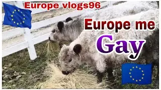 Crotia Zagreb Europe me gay sem bhes ki tarah #crotia #travel #lifeisbutadream #automobile