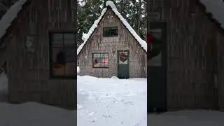 The Slow of Snow | Our Cozy Cabin | The Anchor