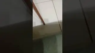 11 de janeiro de 2026