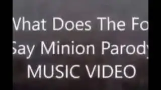Minon wut dos te fOz saE parodeE!!!!1!11111