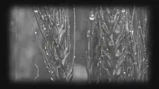 Feel the pain 😭 mind relax beats  study sleep chill 💘💝 new sad emotional song 