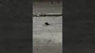 I&rsquo;m fast even on that powder!!
