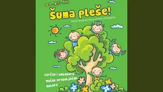 Proljetni Mix: Proljeće U Šumi, Veselje Ptica