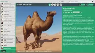 Planet Zoo Animal Spotlight: Camel!!