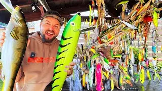 100% НЕ СТЕ ВИЖДАЛИ ТАКОВА МЯСТО! НАЙ-ГОЛЯМАТА КОЛЕКЦИЯ от примамки в света!