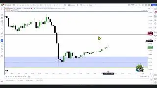 What's next for GOLD 8 July 2024