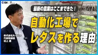 【最新鋭の植物工場】農業未経験の社長が完全自動レタス工場を始めた理由【A-Plus/経営者インタビュー】