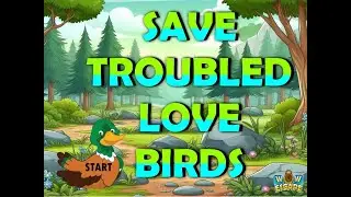 save troubled love birds video walkthrough