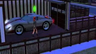 Lilith Pleasant's party.wmv