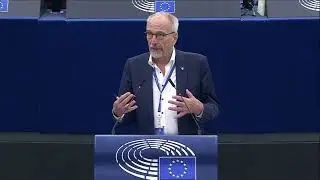 Plenary speech on the Urban Wastewater Treatment Directive